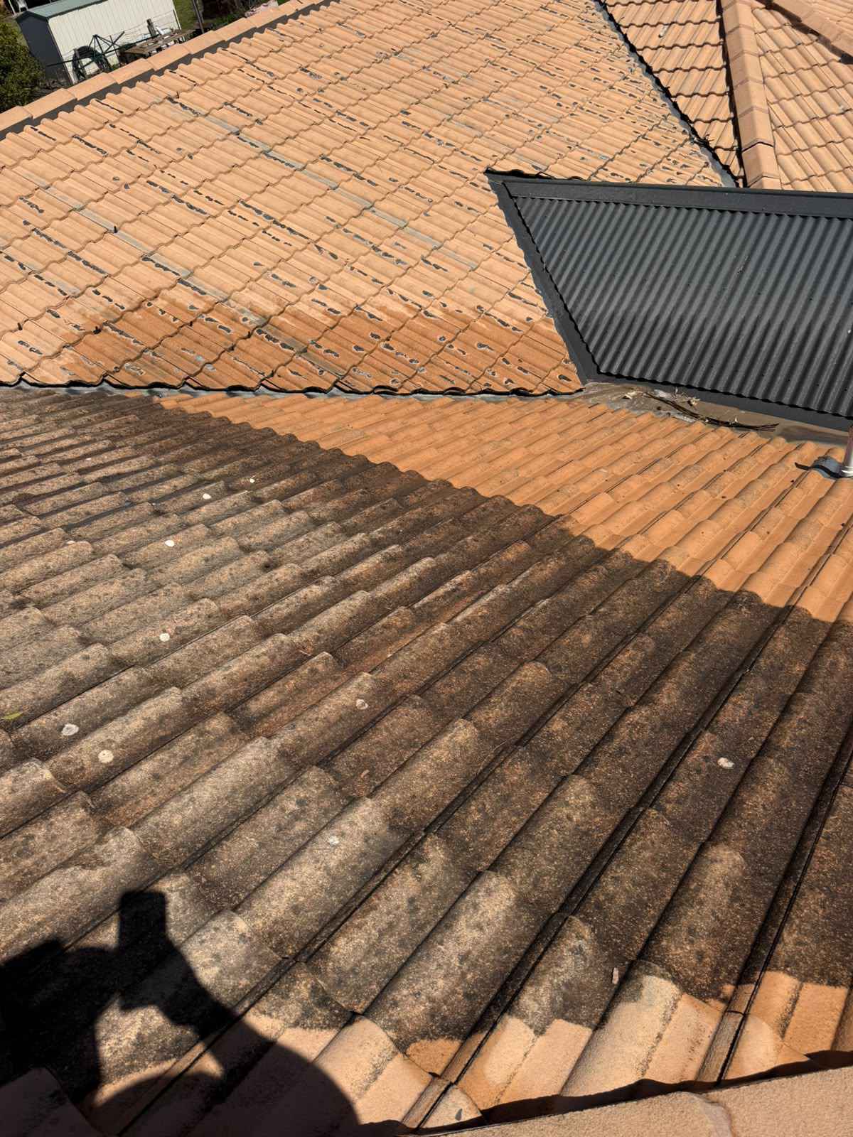 Roof and gutter cleaning